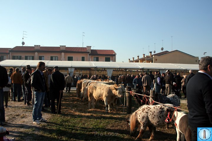 Fiera del lunedì (454).JPG